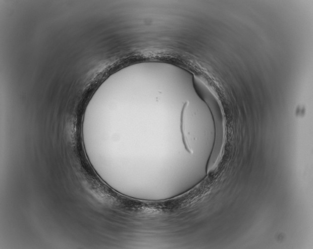 X0000096710592200802261631