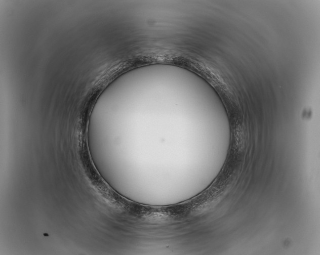 X0000096710594200802261631