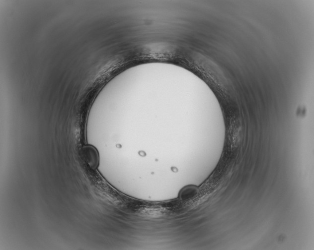 X0000096710595200802261631