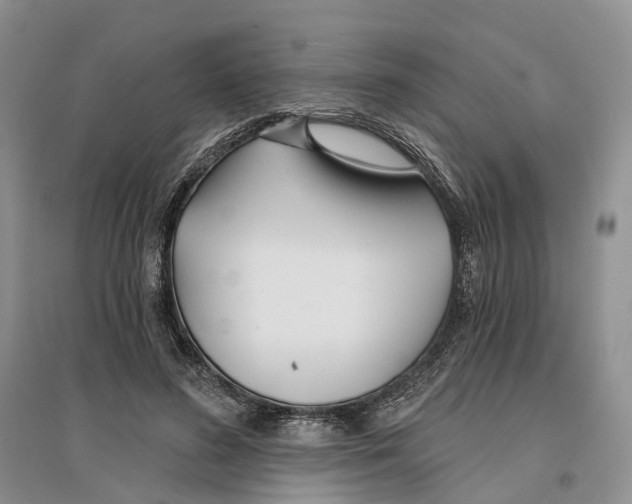 X0000096710596200802261631