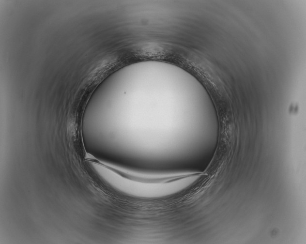 X0000096710597200802261631