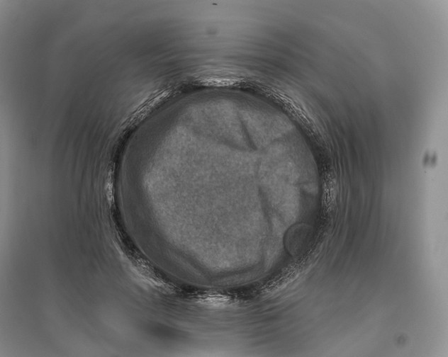 X0000096710598200802261631