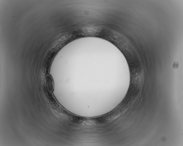 X0000096710599200802261631