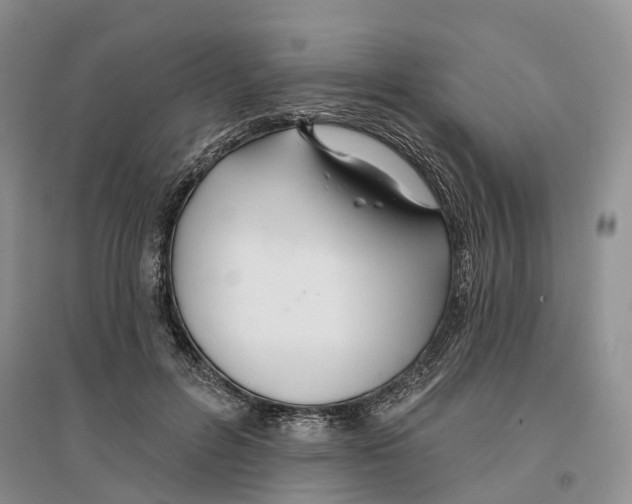 X0000096710600200802261631