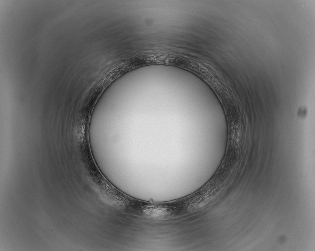 X0000096710602200802261631