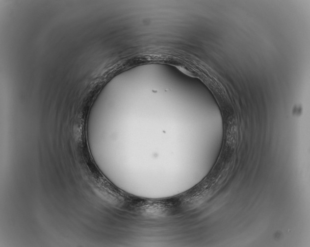 X0000096710604200802261631