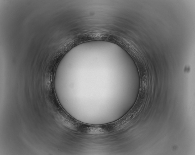 X0000096710605200802261631