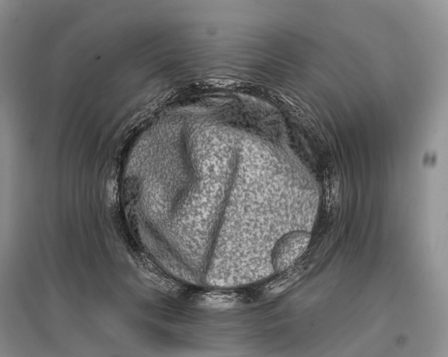 X0000096710606200802261631