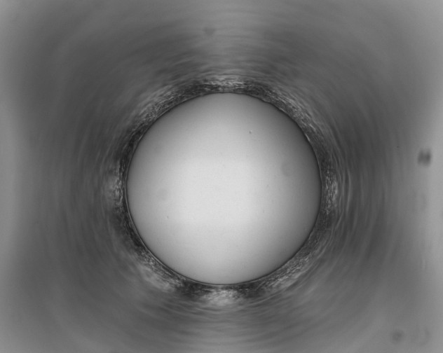 X0000096710609200802261631