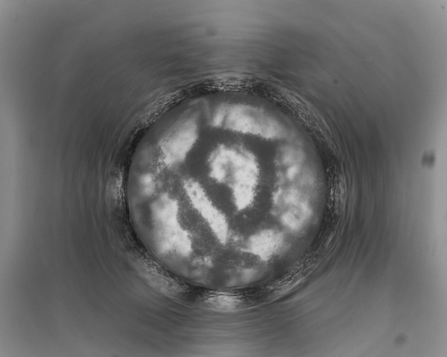 X0000096710610200802261631