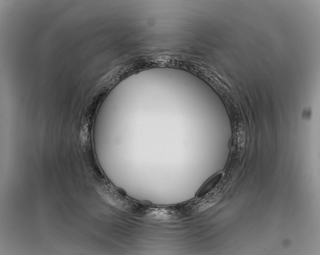 X0000096710611200802261631