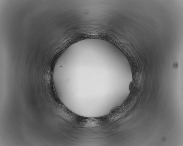 X0000096710612200802261631