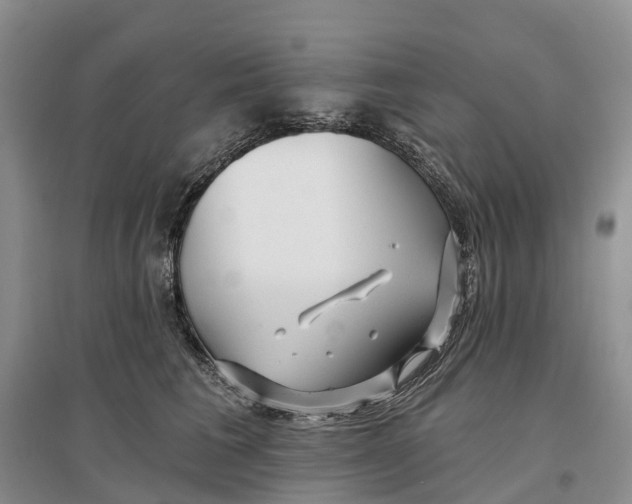 X0000096710613200802261631