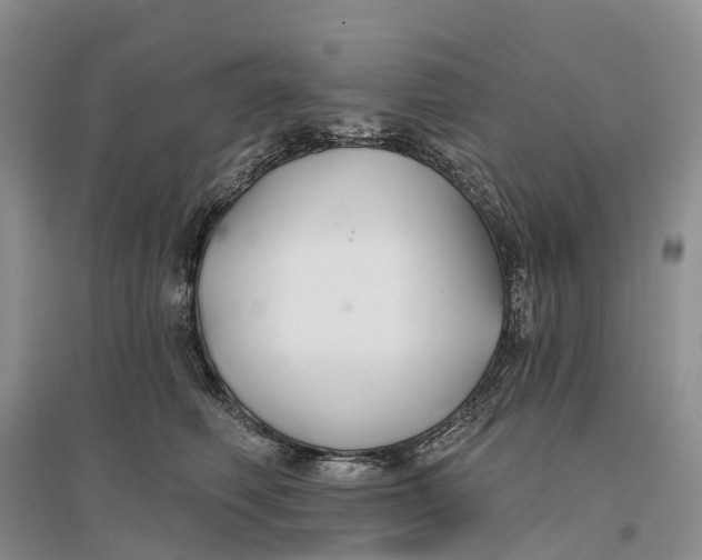 X0000096710614200802261631