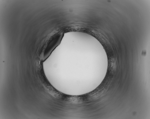 X0000096710615200802261631