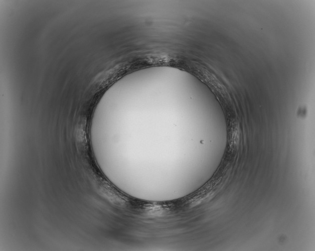 X0000096710616200802261631