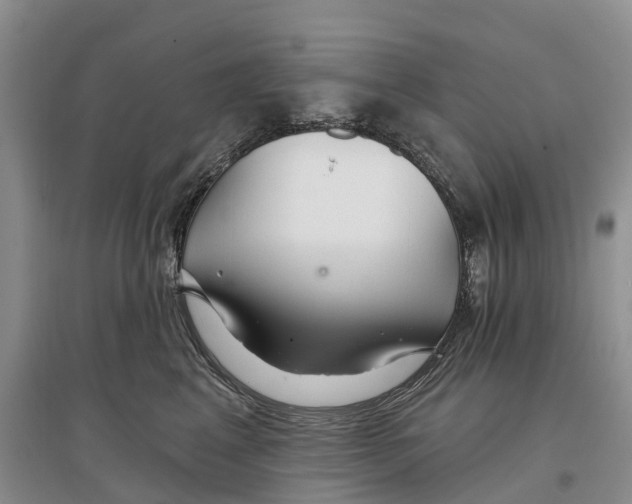 X0000096710617200802261631