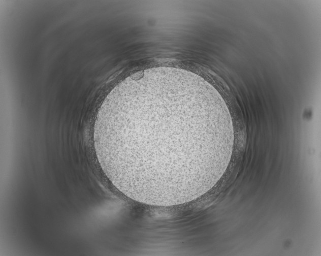 X0000096710618200802261630