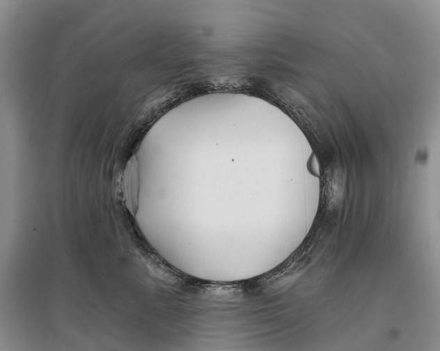 X0000096710619200802261630