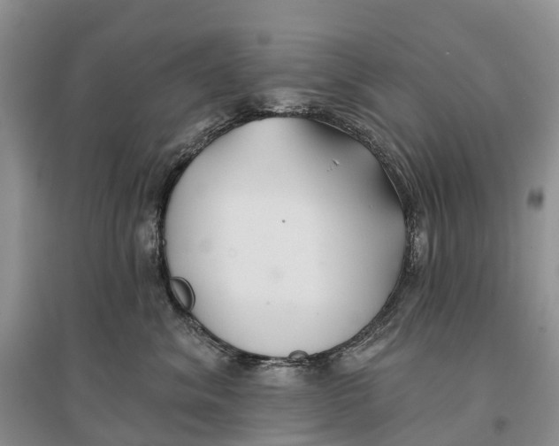 X0000096710620200802261630