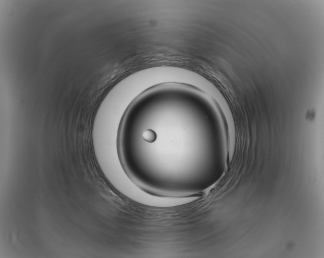 X0000096710621200802261630