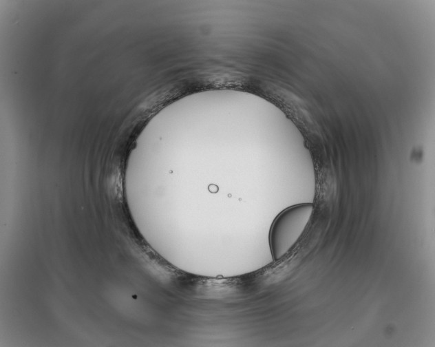 X0000096710622200802261630