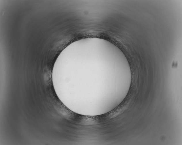 X0000096710624200802261630