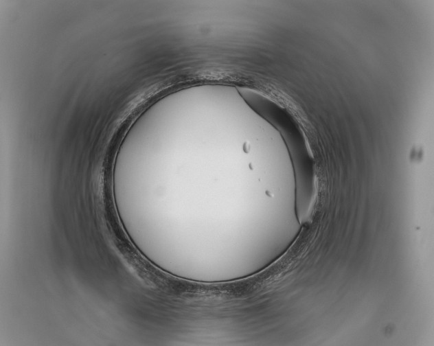 X0000096710626200802261630