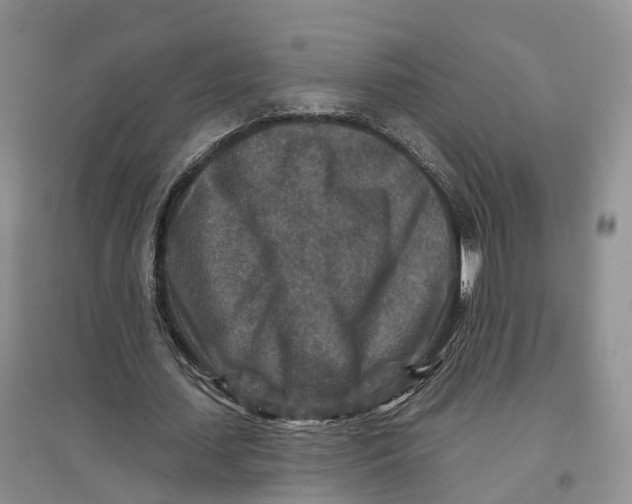 X0000096710627200802261630