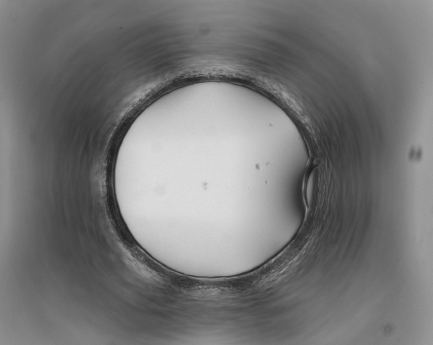 X0000096710629200802261630