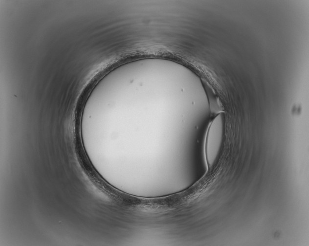 X0000096710630200802261630