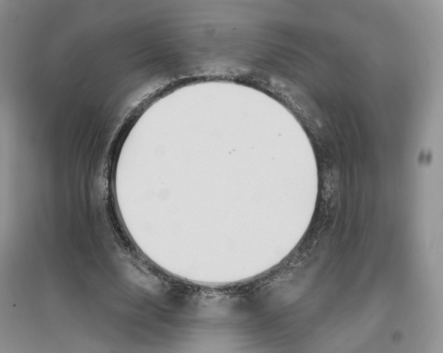 X0000096710632200802261630