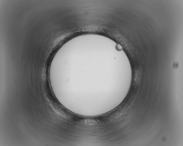 X0000096710636200802261630