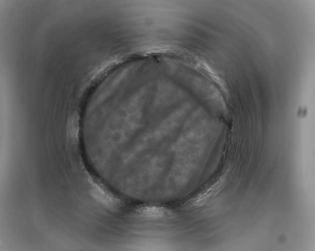 X0000096710637200802261630