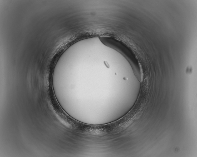 X0000096710638200802261630