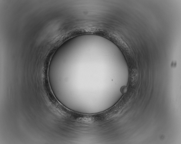 X0000096710639200802261630