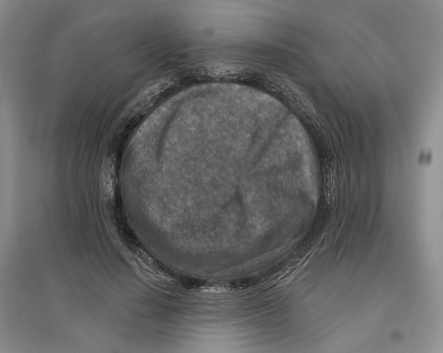 X0000096710644200802261630