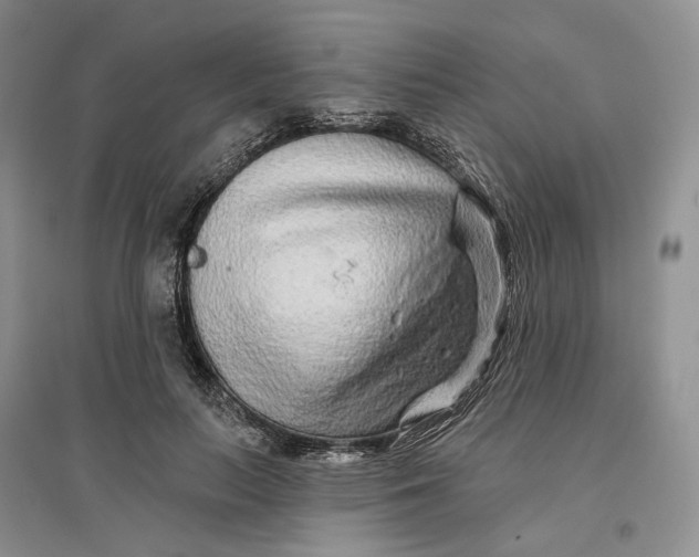 X0000096710647200802261630