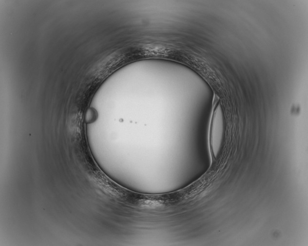 X0000096710649200802261630