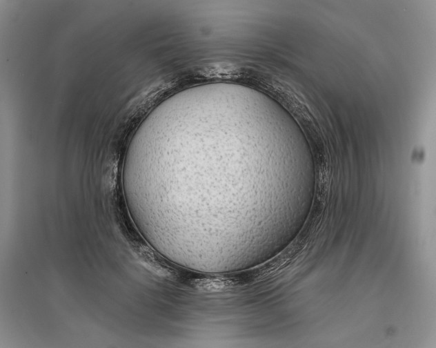 X0000096710652200802261630