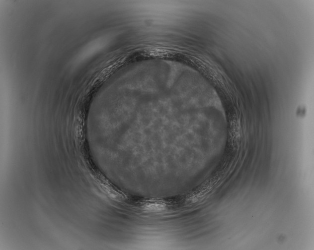 X0000096710653200802261630