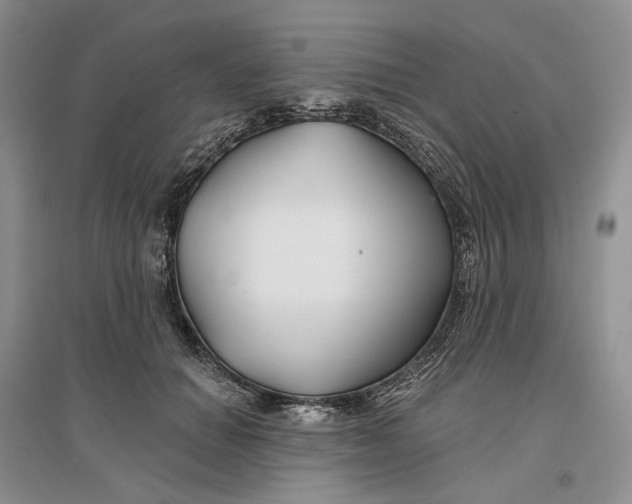 X0000096710654200802261630