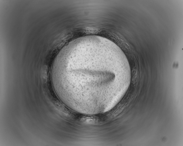 X0000096710655200802261630