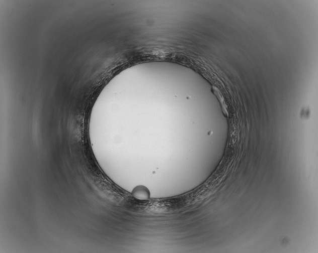 X0000096710656200802261630