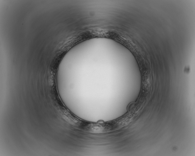 X0000096710658200802261630