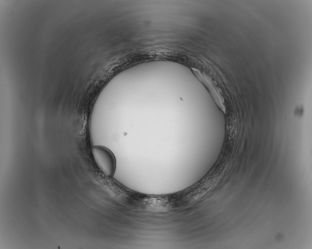 X0000096710660200802261630