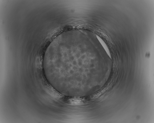 X0000096710661200802261630