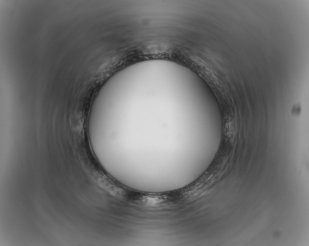 X0000096710662200802261630