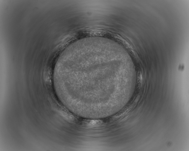 X0000096710663200802261630