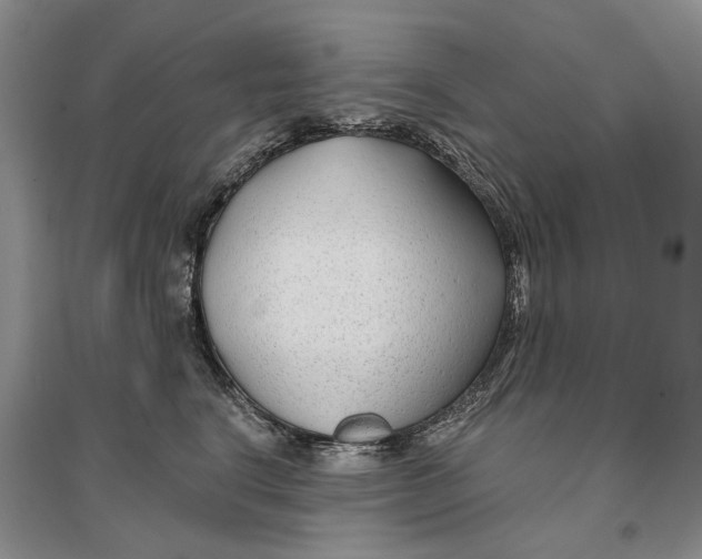 X0000096710664200802261630